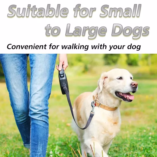 Premium Lead-Free Glass Cups Lead-Free Drinking Drinking Glasses for Water Beverages Stemless Wine Glasses Wholesale